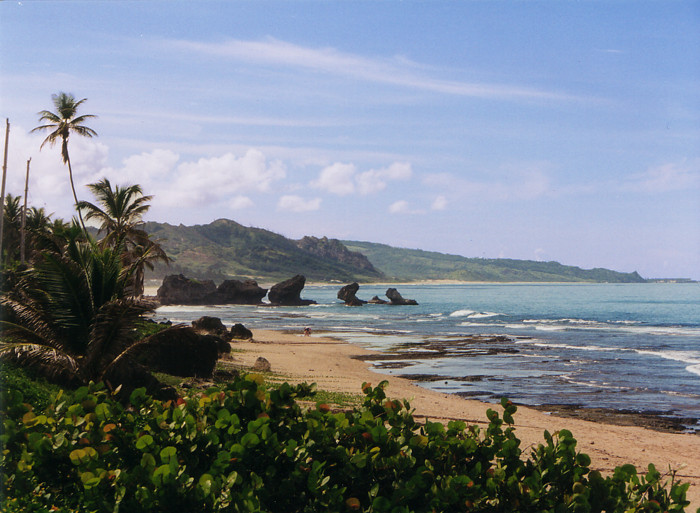 The east coast of Barbados